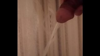 Cavallo pisciante… horse piss