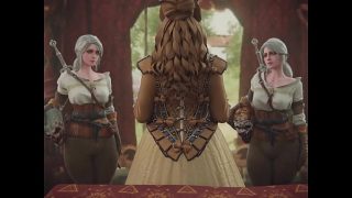 Meis3D – Reward for The Witchers